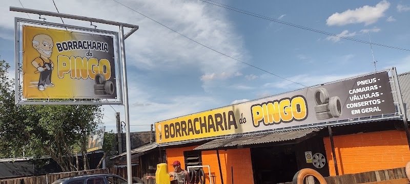 Borracharia do Pingo