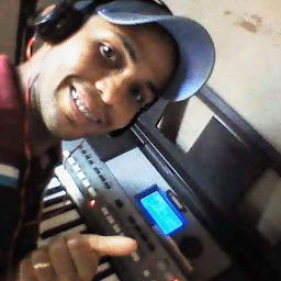 Borracharia palmares