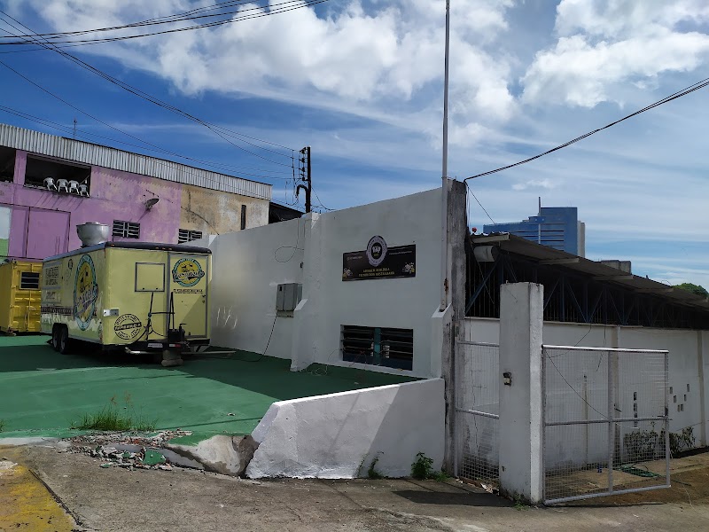 Kiip estética automotiva