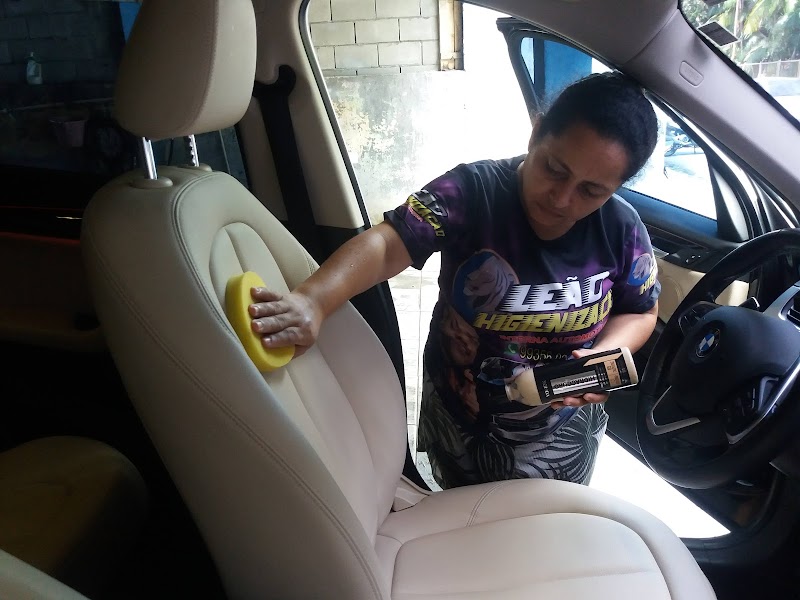 Leão -higienização automotiva.