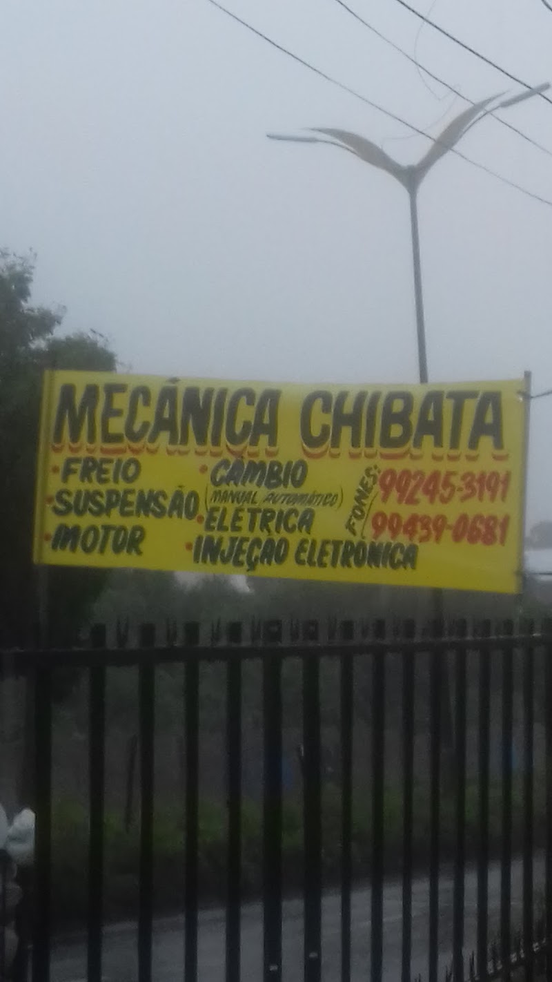 Mecanica Chibata Injeçao Eletronica(jhoy)