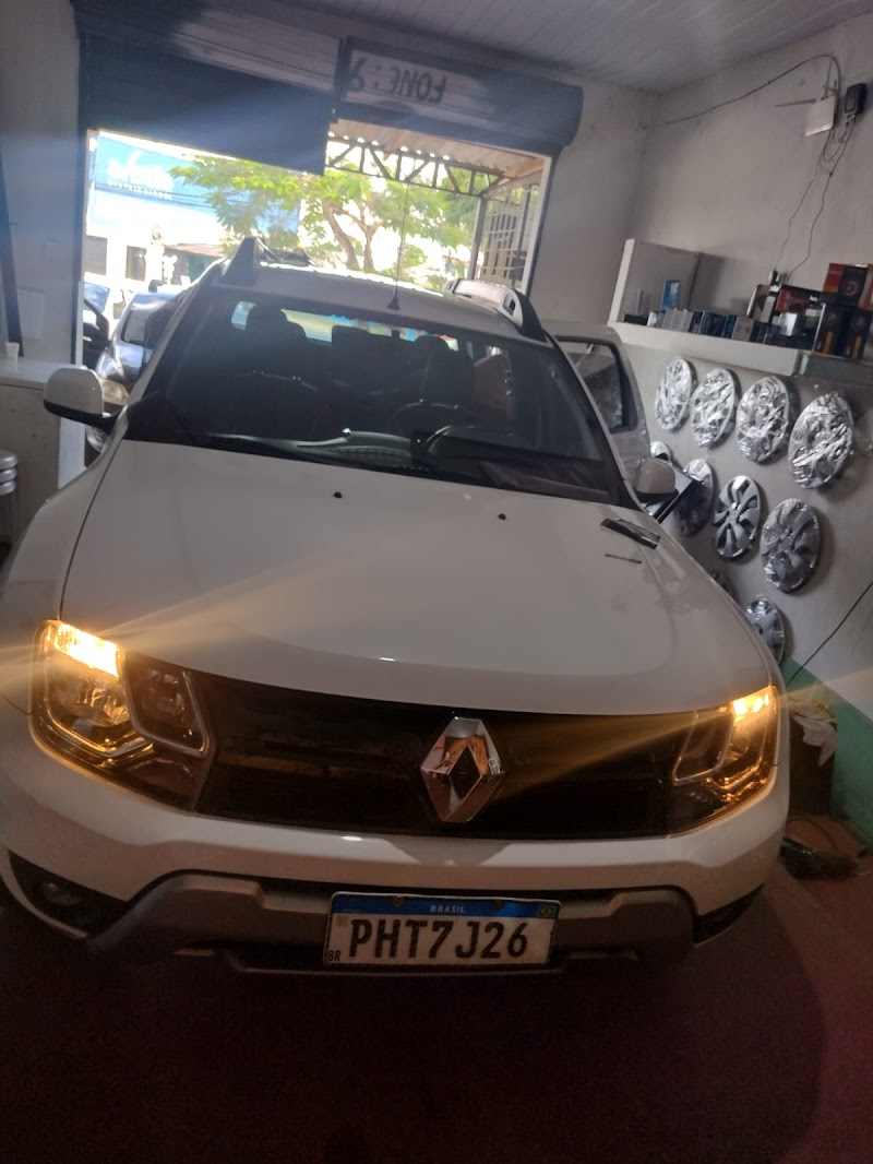 Mamutes som e acessórios