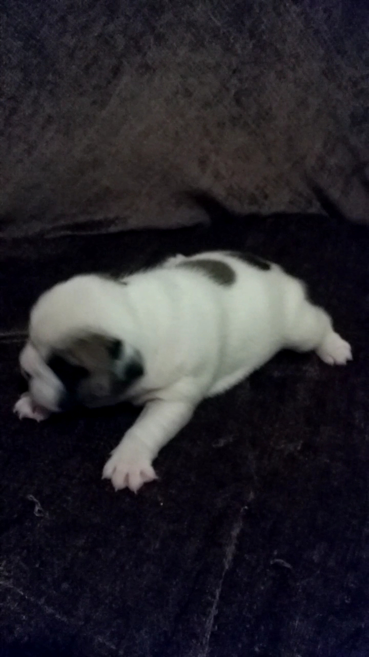 Auto Socorro Cláudio