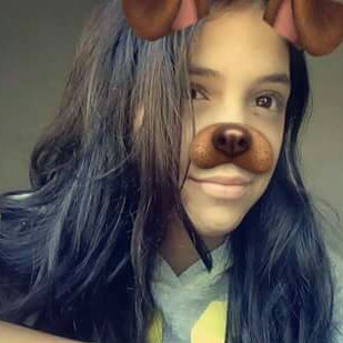 Rua Dr. Campos Velho, 1220