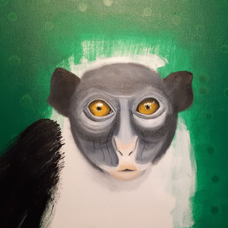 José Car - Centro Automotivo