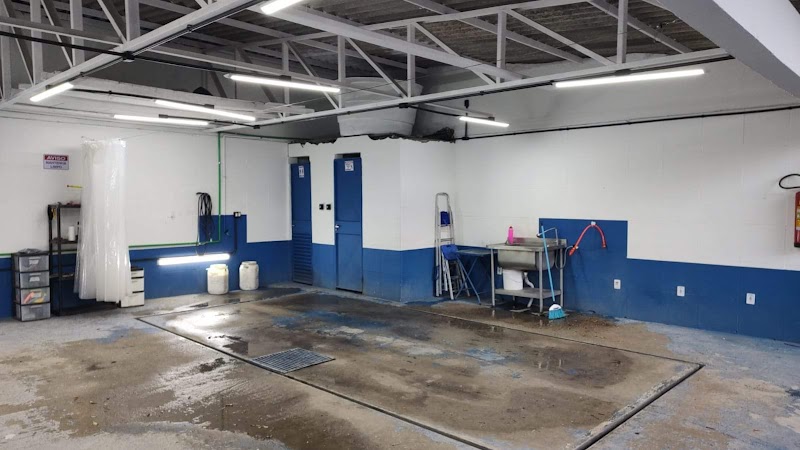 Estética Automotiva do Cha