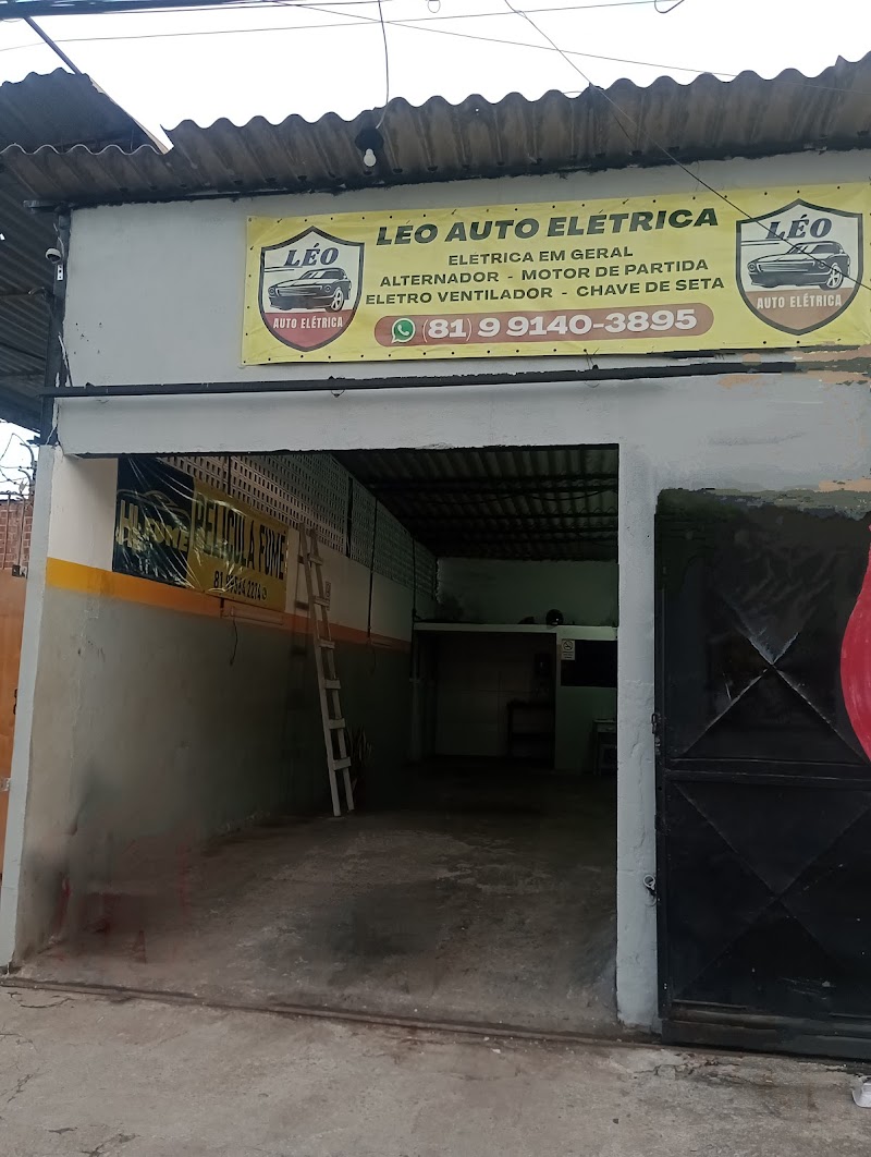 Léo auto elétrica