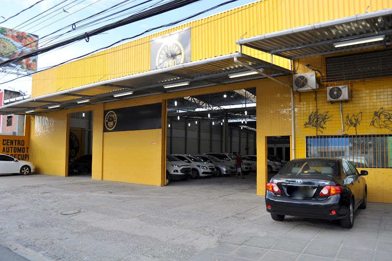 Martelinho de Ouro - Pina