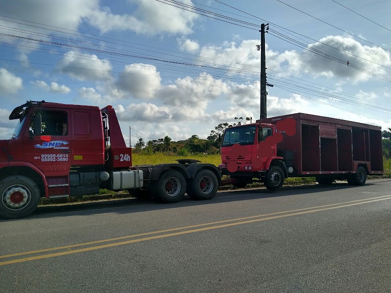 SNP - Reboque & Guincho