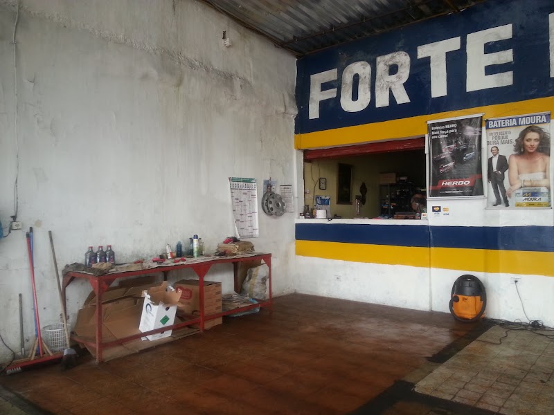 Forte Freio