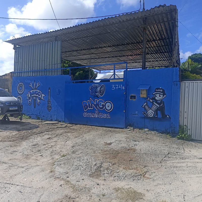 Oficina Do Bingo