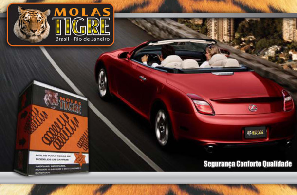 Centro Automotivo Tigre - (Molas Tigre) Unidade Pilares