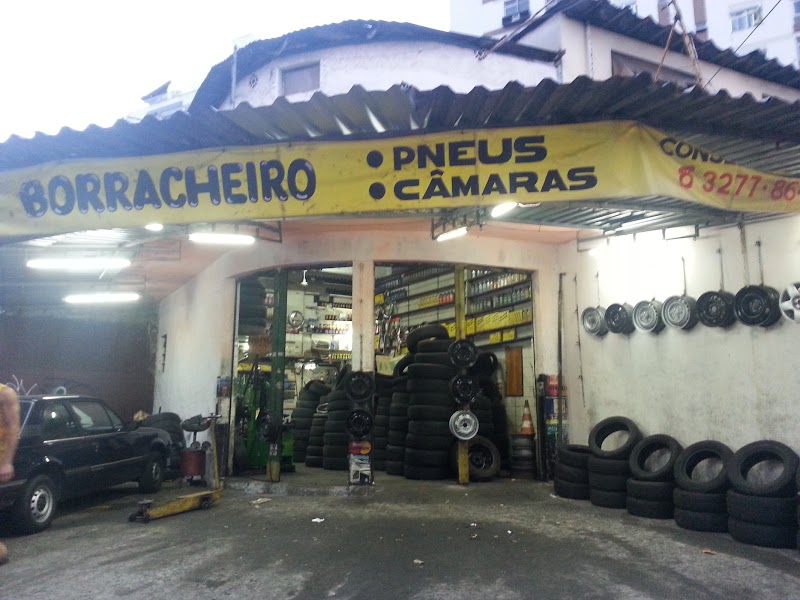 Gatinho Pneu