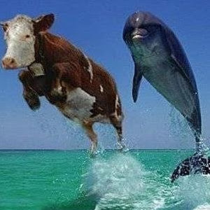 Castro e Vilela Auto Peças LTDA