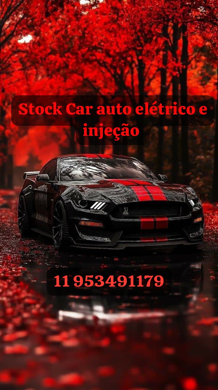 Auto Elétrico e injeção Eletrônica Stock Car
