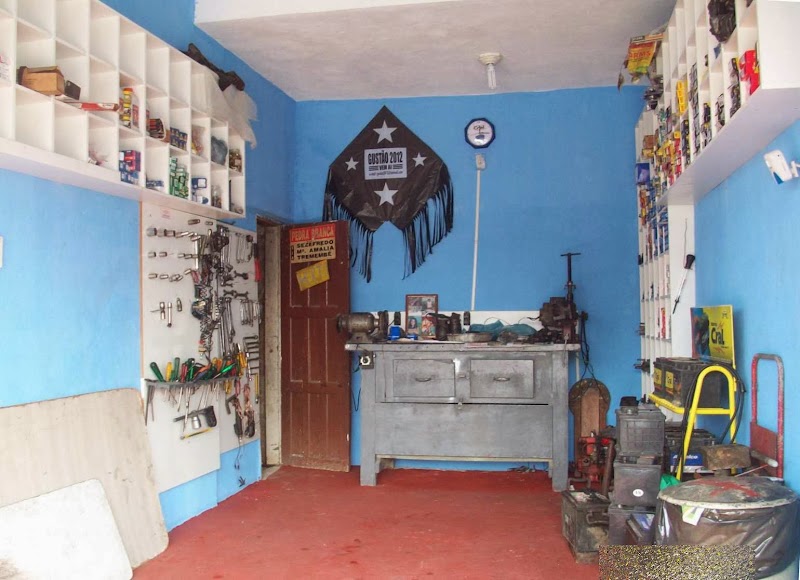 Auto Elétrico Loreto