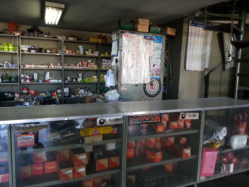 Auto Elétrico Shoji