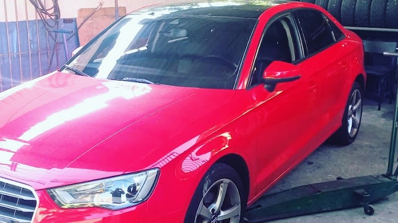 Borracharia Aurélia