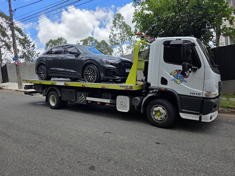 Guincho 46 Rochdalle