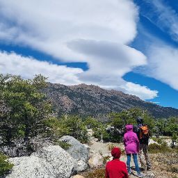 Lava Eco - Estética Automotiva