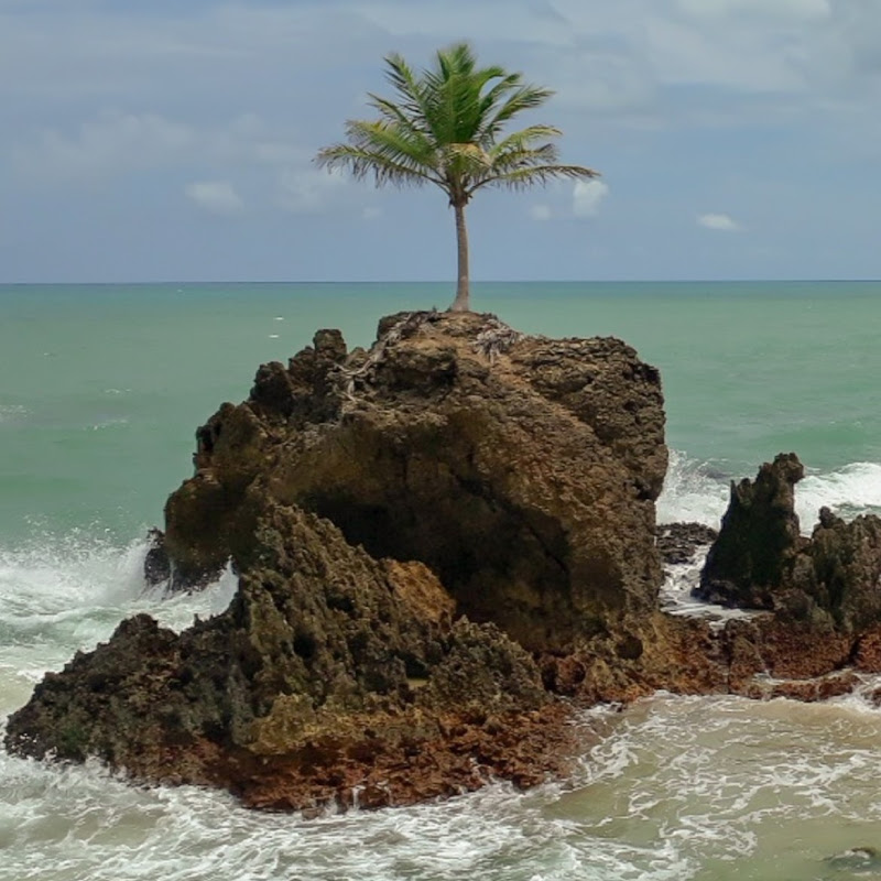 Centro Automotivo Interlagos