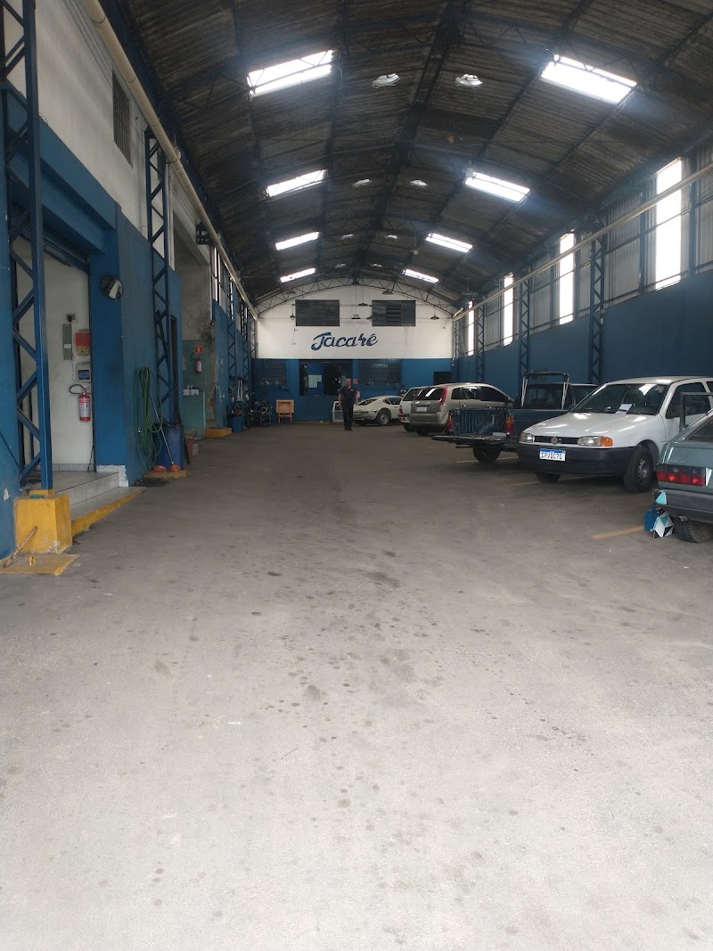 Vidros para Autos Jacaré