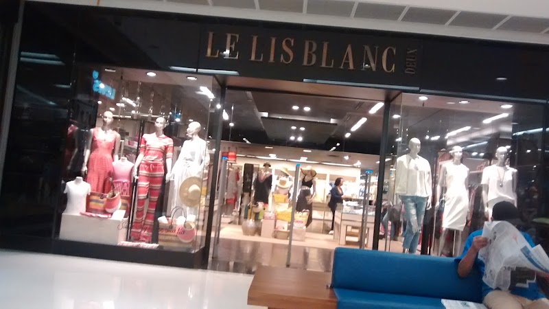 Le Lis - Salvador Barra