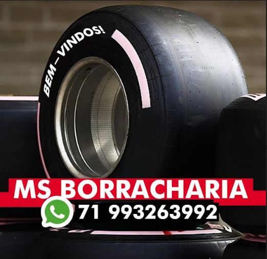 MS Borracharia