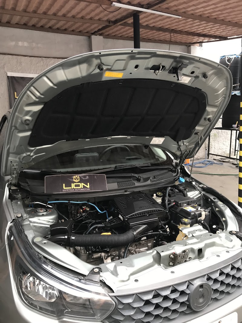Lion Estetica Automotiva