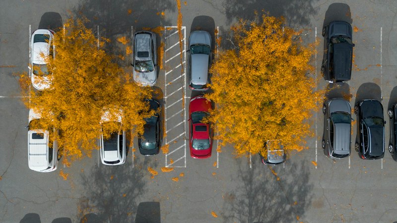 Setembro vendeu 265 mil carros, o Dolphin Mini virou o terceiro mais emplacado do país e o seminovo perdeu cliente para o chinês zero